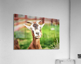 2083 Acrylic Print