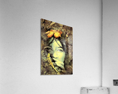 2115 Acrylic Print