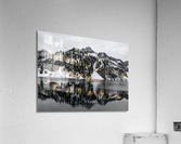 2127 Acrylic Print