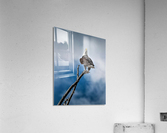 2147 Acrylic Print