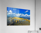 2149 Acrylic Print