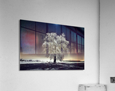 2151 Acrylic Print