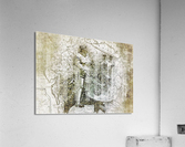 2159 Acrylic Print