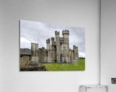 2161 Acrylic Print