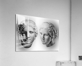 2163 Acrylic Print