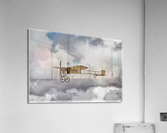 2164 Acrylic Print