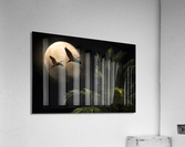 2167 Acrylic Print