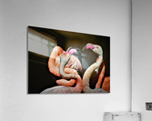 2170 Acrylic Print