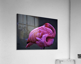 2172 Acrylic Print