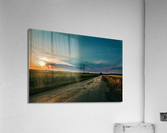 2198 Acrylic Print