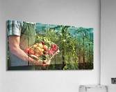 2203 Acrylic Print
