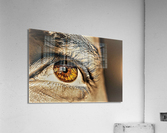 2205 Acrylic Print