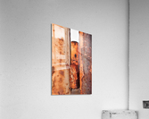 2209 Acrylic Print