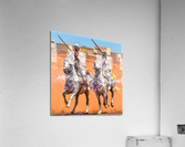 2230 Acrylic Print