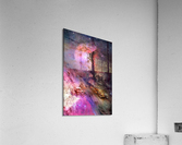 2231 Acrylic Print