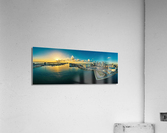 2232 Acrylic Print