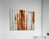 2233 Acrylic Print