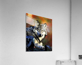 2235 Acrylic Print