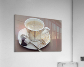 2242 Acrylic Print
