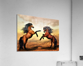 2243 Acrylic Print