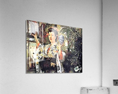 2247 Acrylic Print