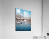2252 Acrylic Print