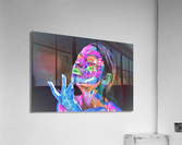 2254 Acrylic Print
