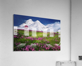 2255 Acrylic Print