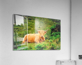 2257 Acrylic Print