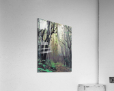 2283 Acrylic Print