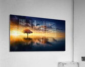 2284 Acrylic Print