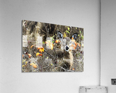 2291 Acrylic Print