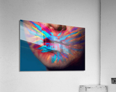 2293 Acrylic Print