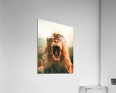 2294 Acrylic Print