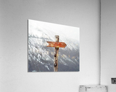 2304 Acrylic Print