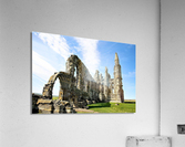 2351 Acrylic Print