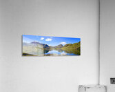 2369 Acrylic Print