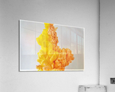 2372 Acrylic Print