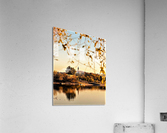 2376 Acrylic Print