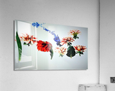 2384 Acrylic Print