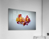 2385 Acrylic Print