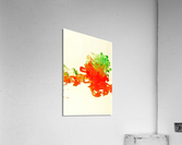 2403 Acrylic Print