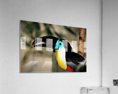 2418 Acrylic Print