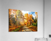 2430 Acrylic Print