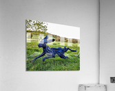 2441 Acrylic Print