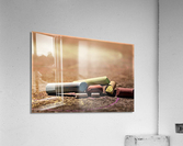 2442 Acrylic Print