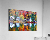 2447 Acrylic Print