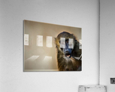 2449 Acrylic Print