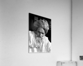 2451 Acrylic Print