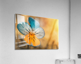 2466 Acrylic Print